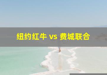 纽约红牛 vs 费城联合